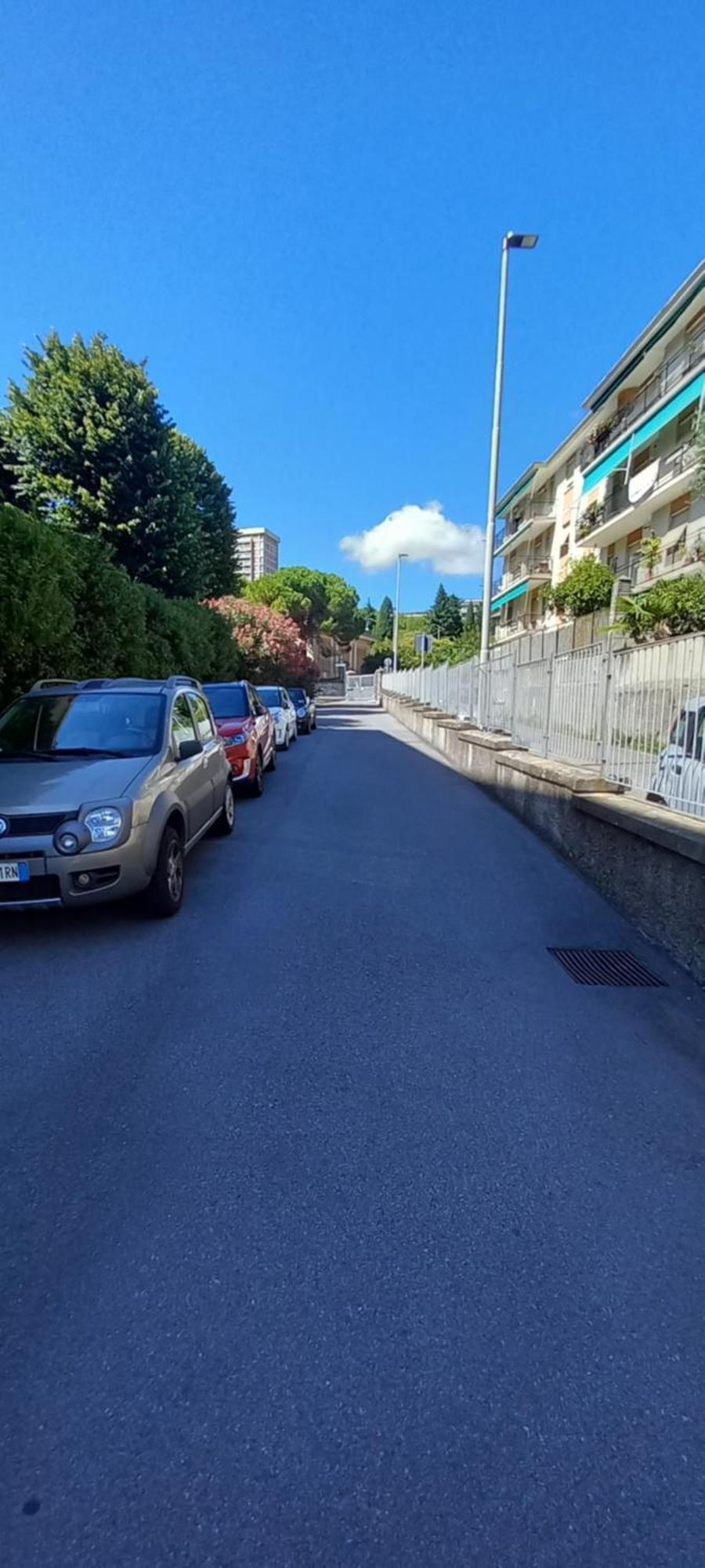 Fiorella Genua